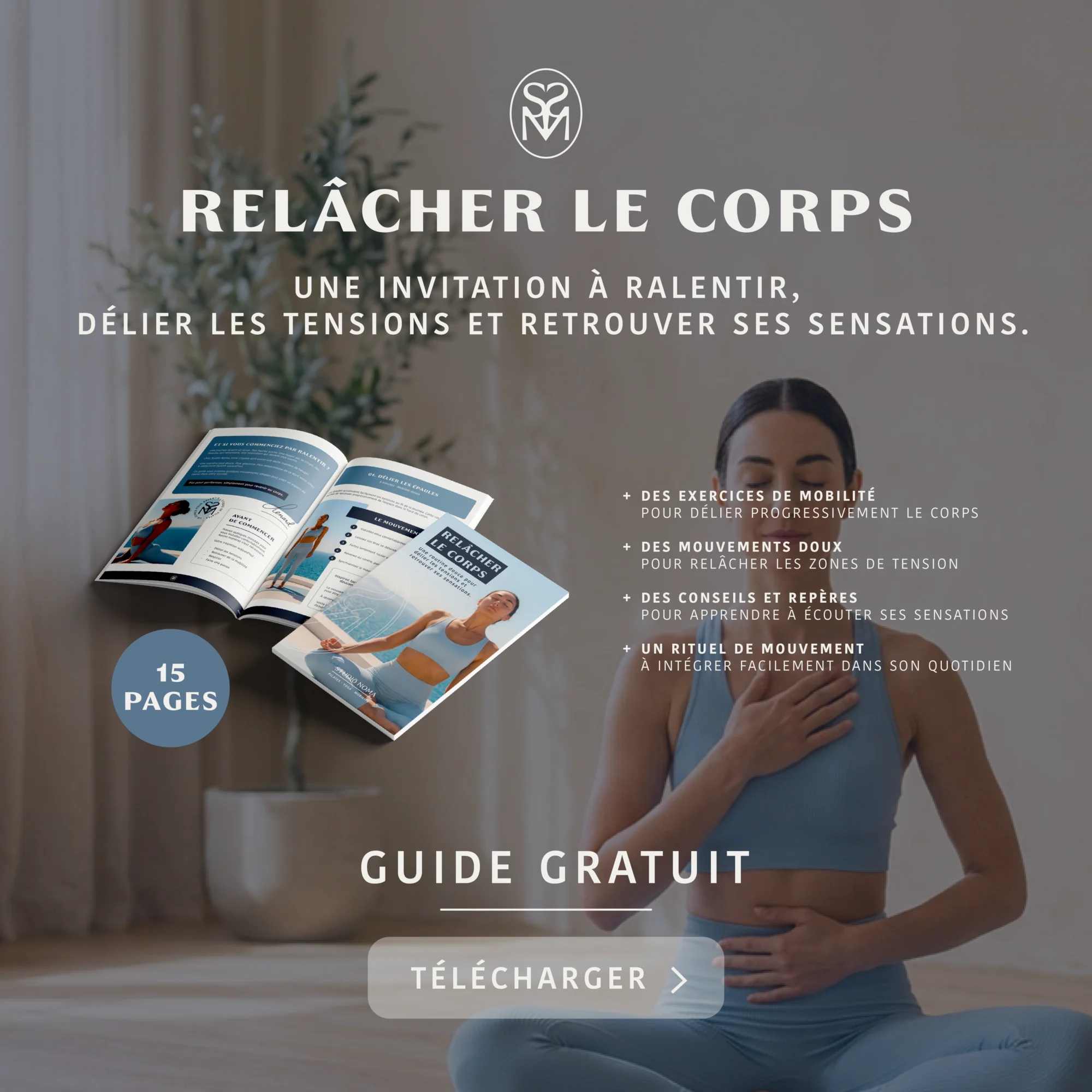 Visuel Publicité Ads Meta Guide Gratuit